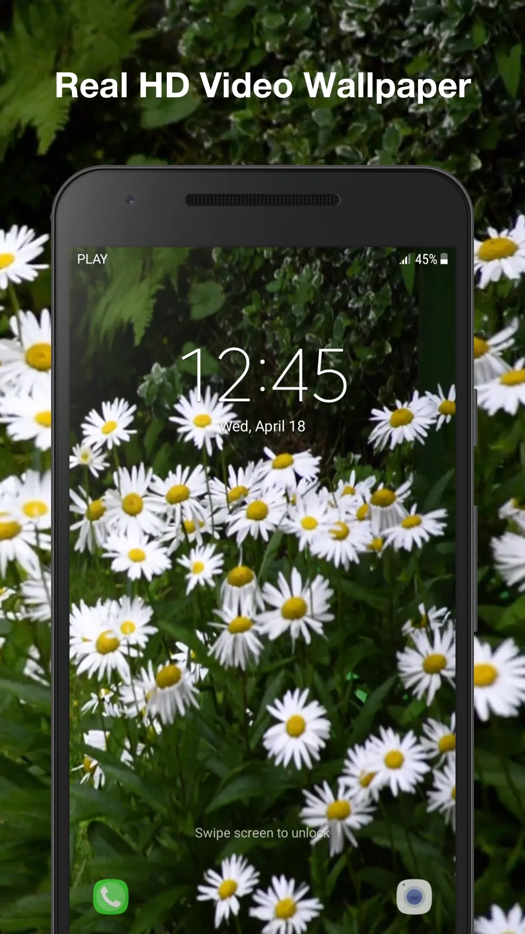 Daisies Live Wallpaper | Indus Appstore | Screenshot