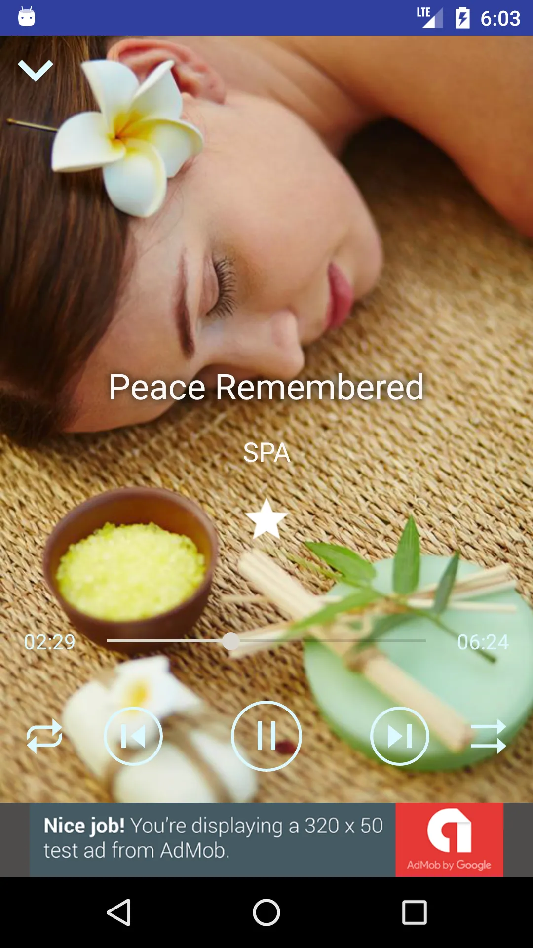 Relaxing Music Collection | Indus Appstore | Screenshot