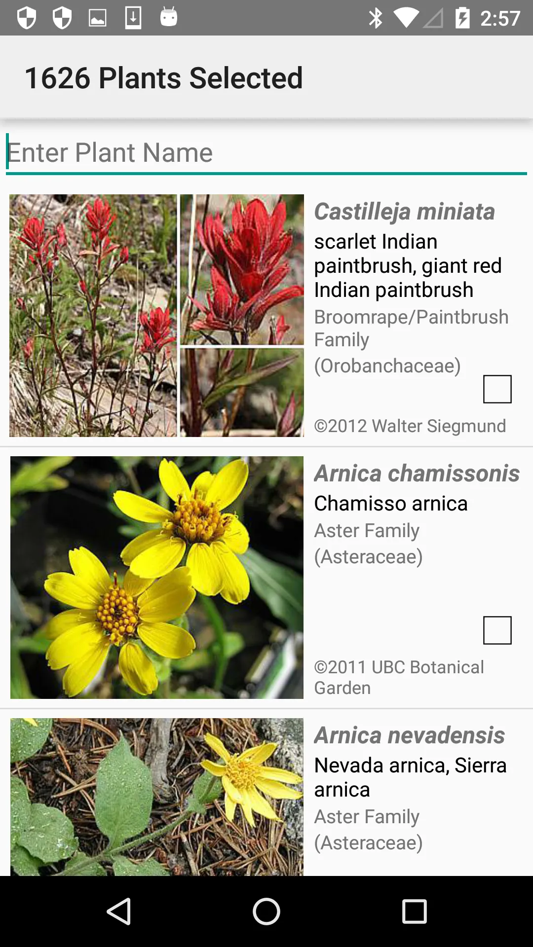 Central California Wildflowers | Indus Appstore | Screenshot