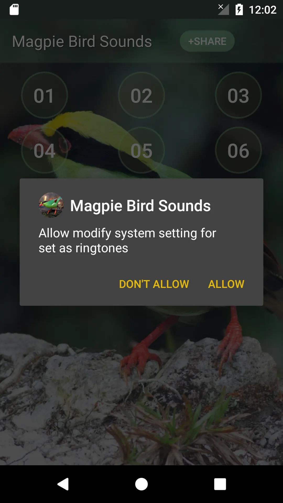 Magpie Bird Sounds | Indus Appstore | Screenshot