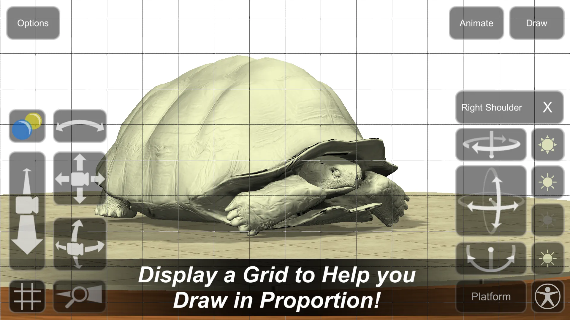 Tortoise Mannequin | Indus Appstore | Screenshot