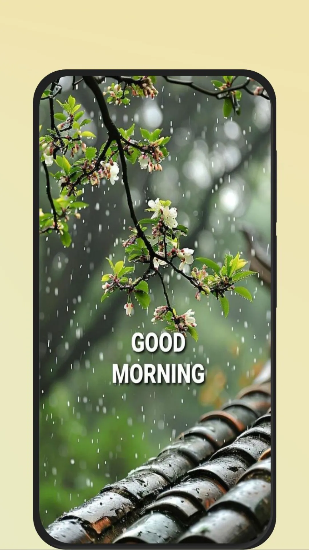 good morning images nature | Indus Appstore | Screenshot