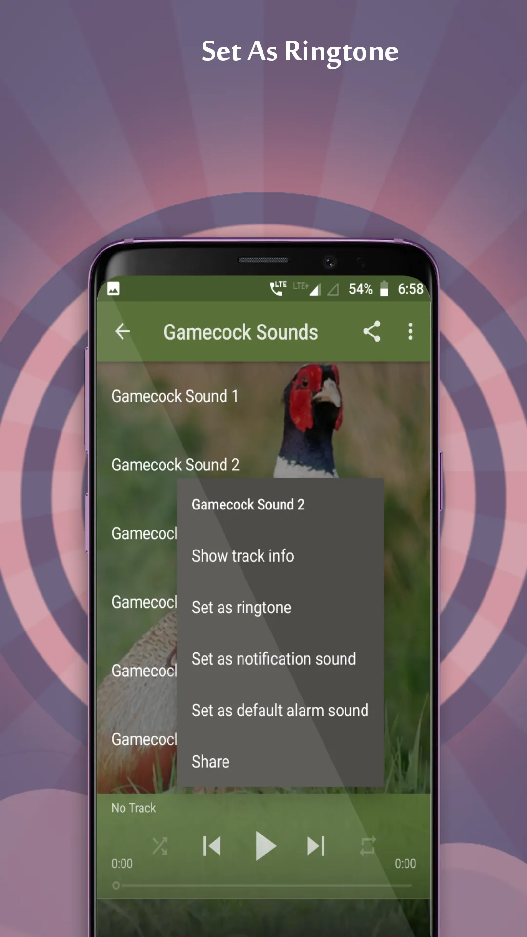 Gamecock Sounds | Indus Appstore | Screenshot