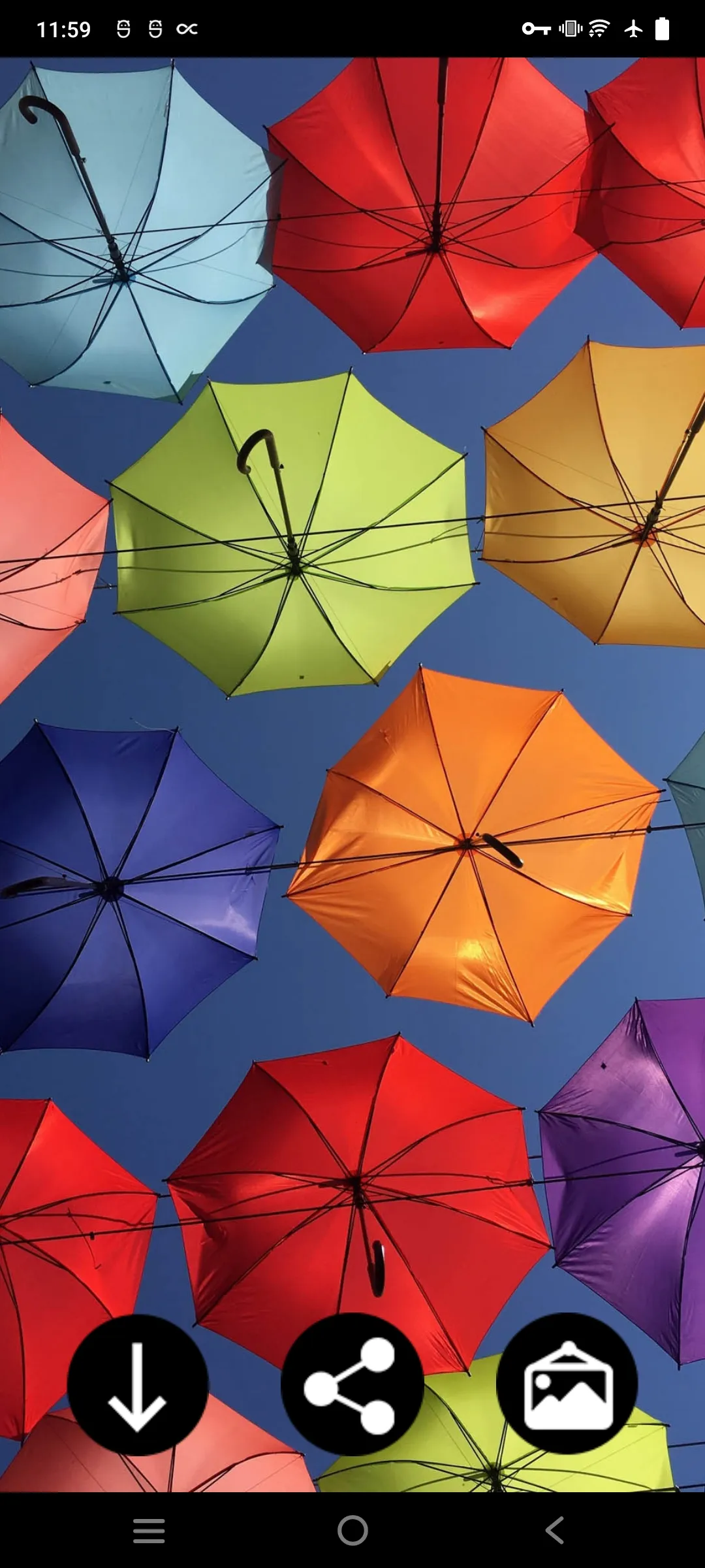 Umbrella Wallpapers | Indus Appstore | Screenshot