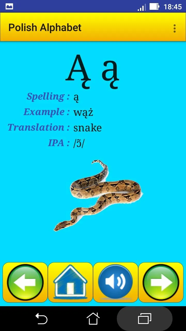 Polish alphabet for students | Indus Appstore | Screenshot