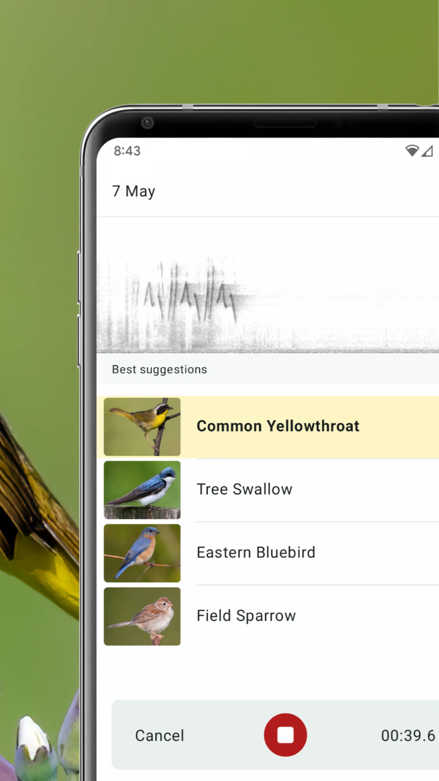 Merlin Bird ID by Cornell Lab | Indus Appstore | Screenshot