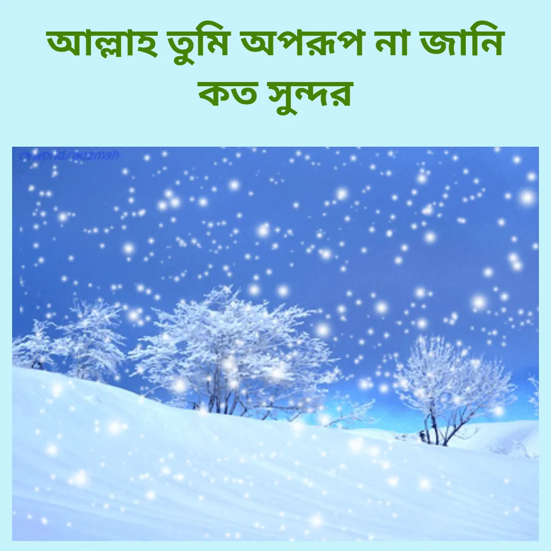 বাছাই করা গজল অডিও offline | Indus Appstore | Screenshot