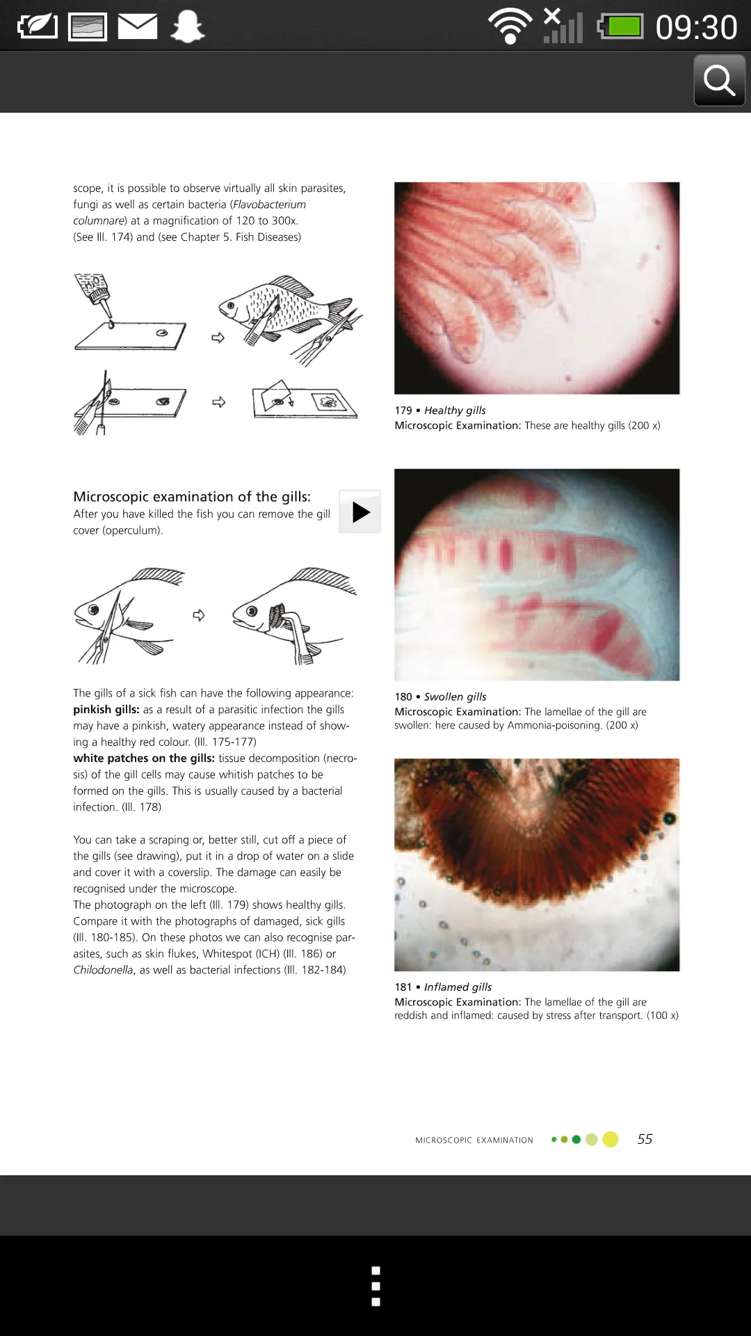 Fish Diseases | Indus Appstore | Screenshot