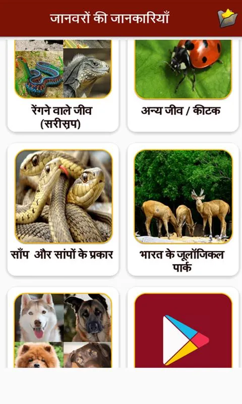 Animal Information in Hindi | Indus Appstore | Screenshot