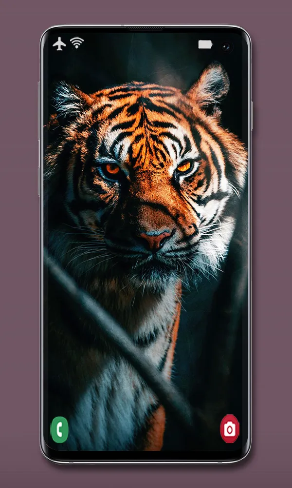 Animal Wallpapers | Indus Appstore | Screenshot