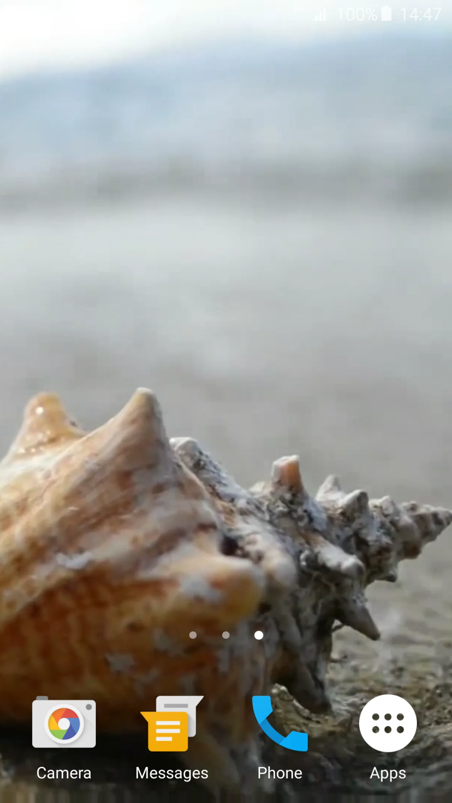 Sea Shell 4K Live Wallpaper | Indus Appstore | Screenshot