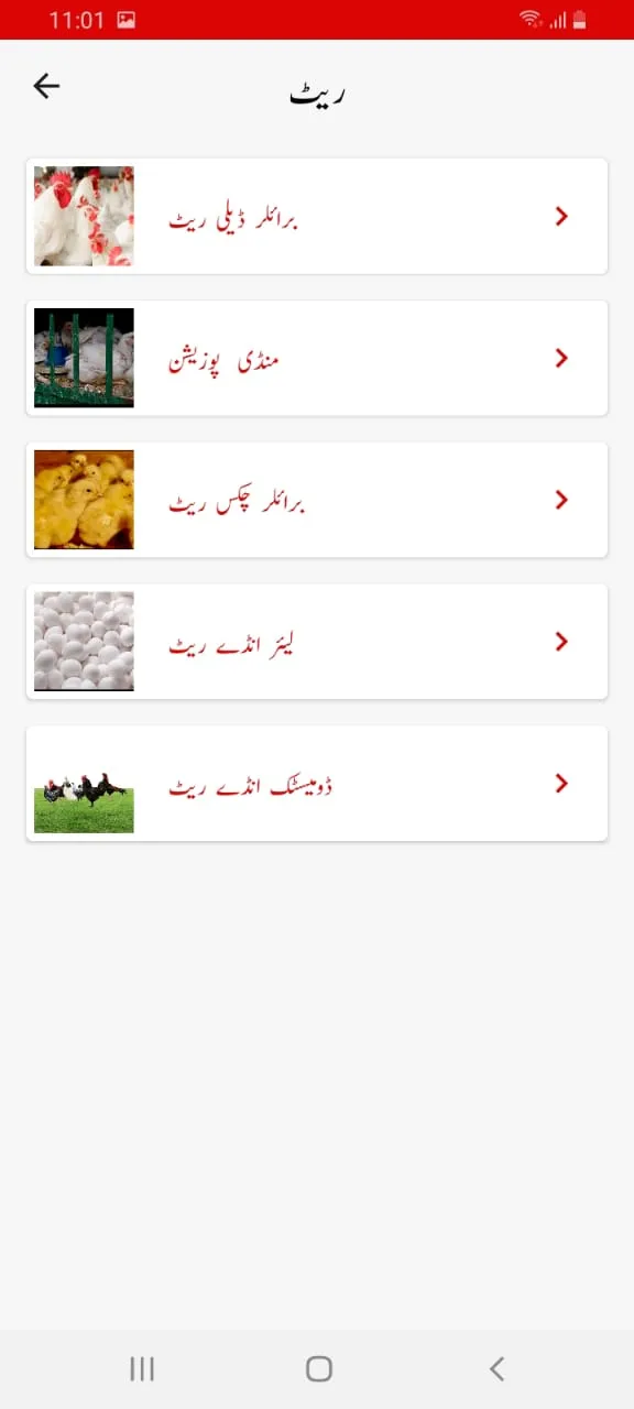 Pak Poultry | Indus Appstore | Screenshot