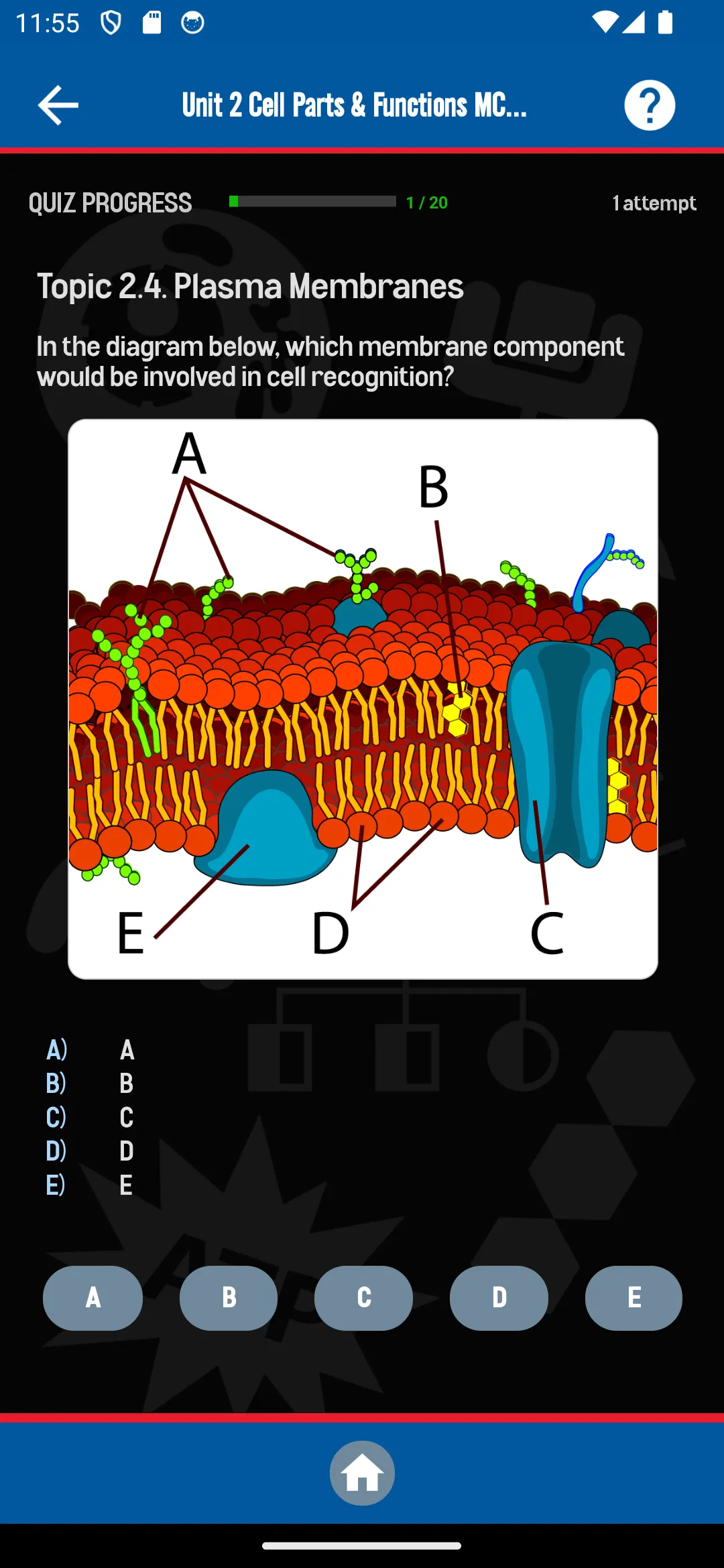 Biomania: AP Biology Study App | Indus Appstore | Screenshot