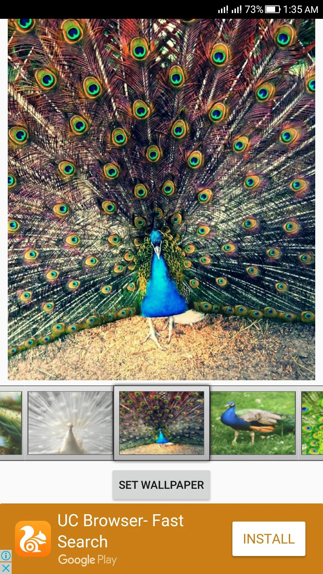 Peacock Live Wallpaper | Indus Appstore | Screenshot