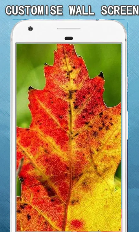 Autumn Wallpapers Hd | Indus Appstore | Screenshot