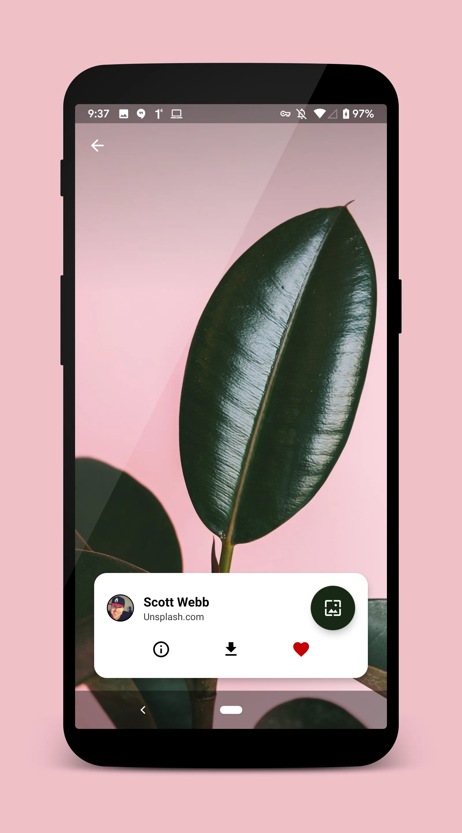 Walpy - Wallpapers | Indus Appstore | Screenshot