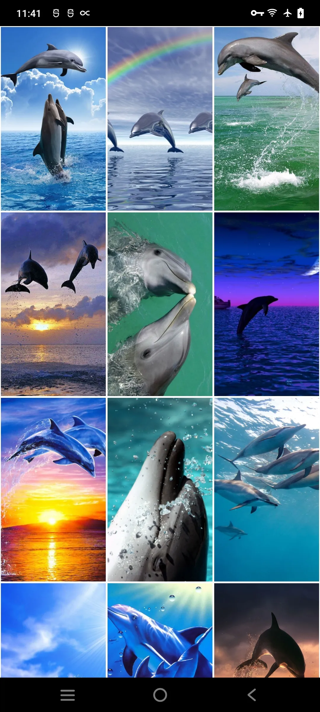 Dolphin Wallpapers | Indus Appstore | Screenshot