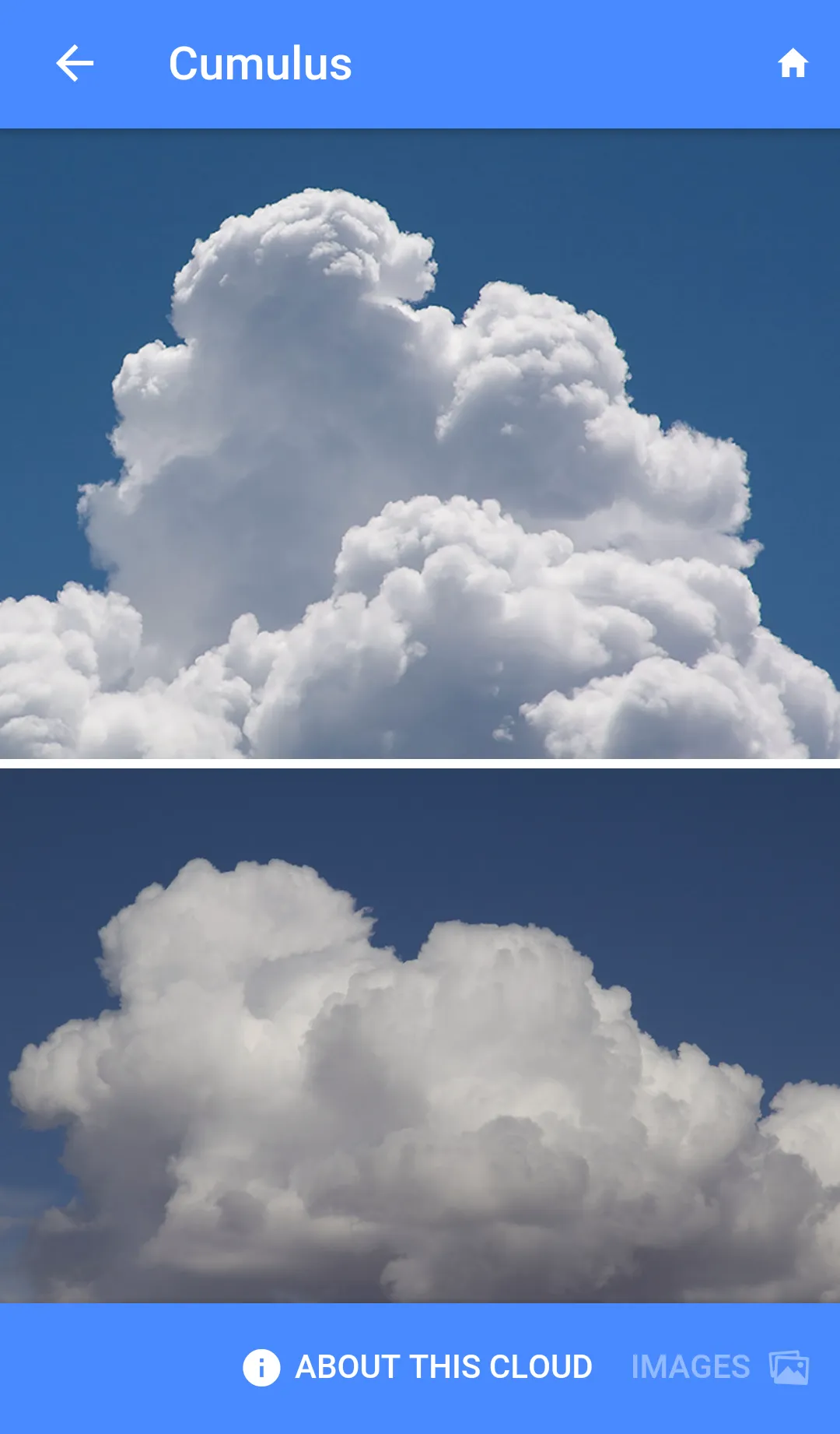 Field Guide to Clouds | Indus Appstore | Screenshot