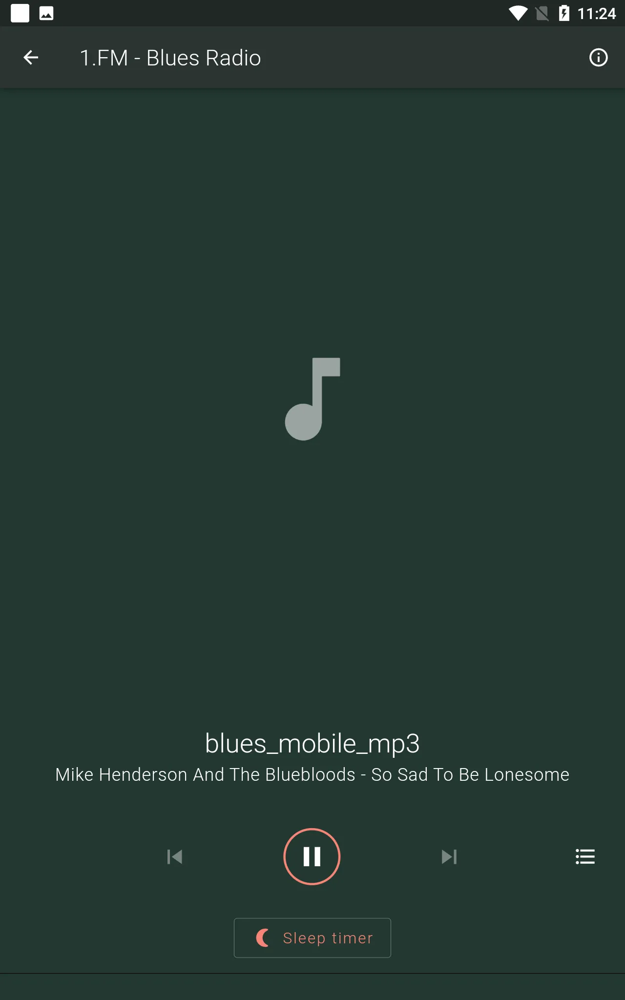 Blues Radios Live | Indus Appstore | Screenshot