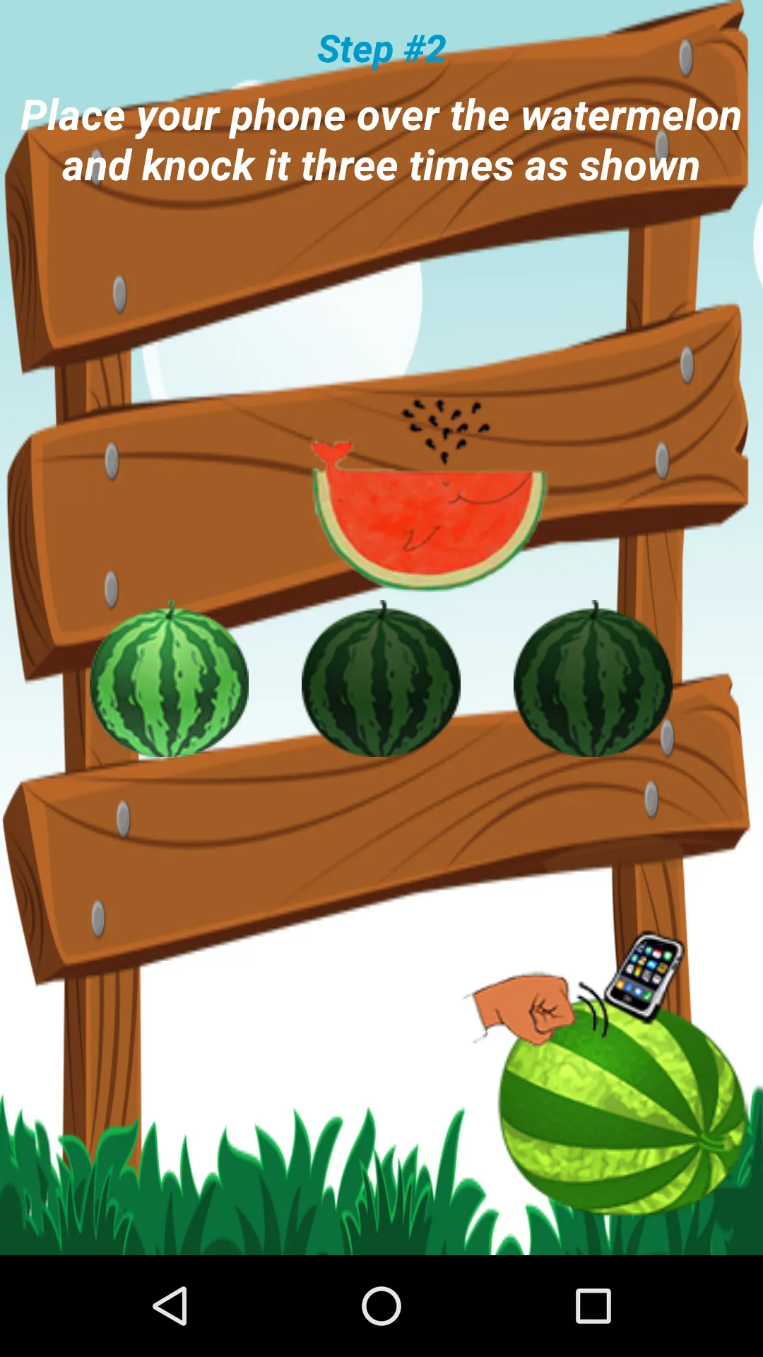 Watermelon Prober | Indus Appstore | Screenshot