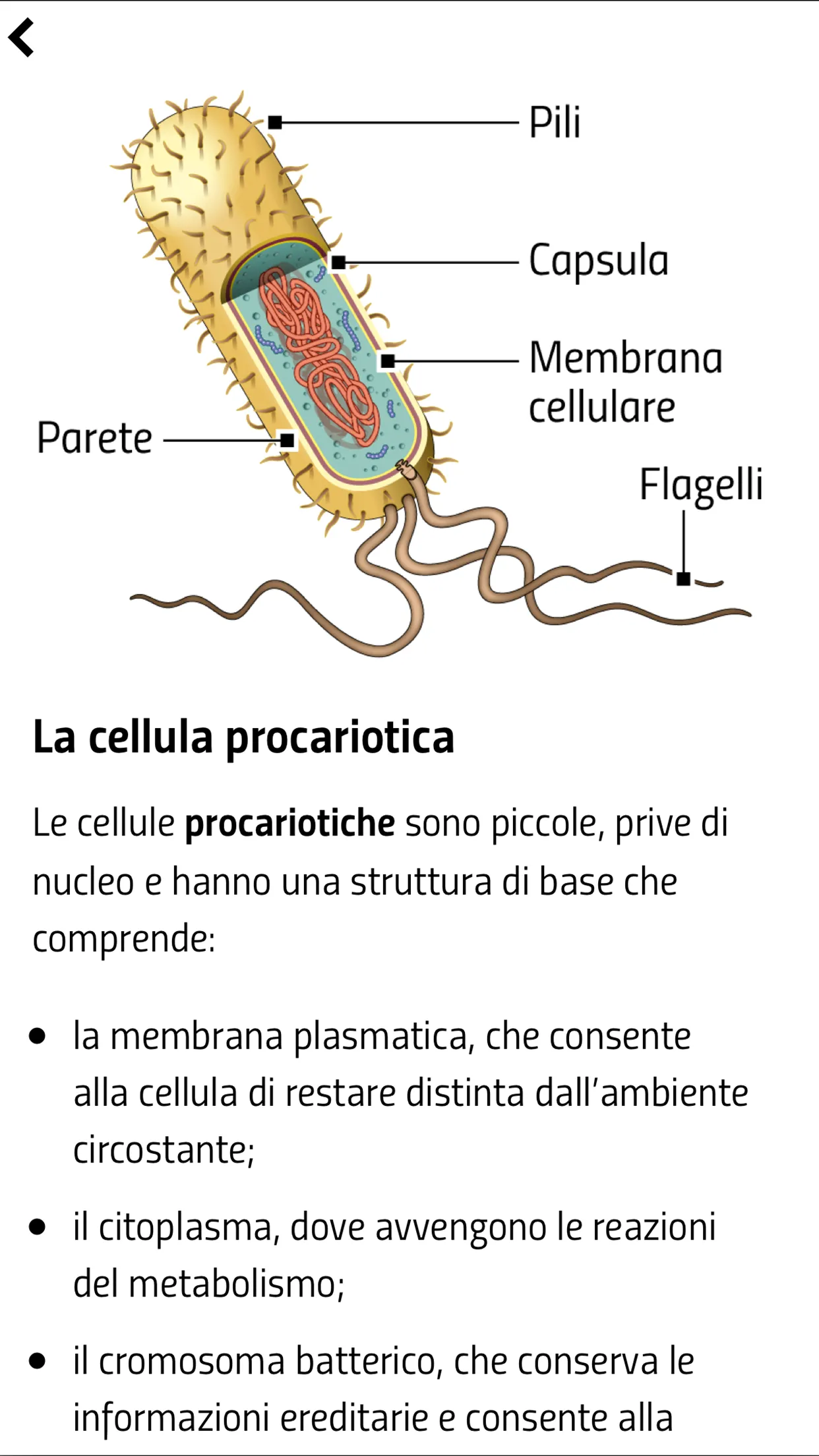 Lo sai? Ripassa con lo smartph | Indus Appstore | Screenshot