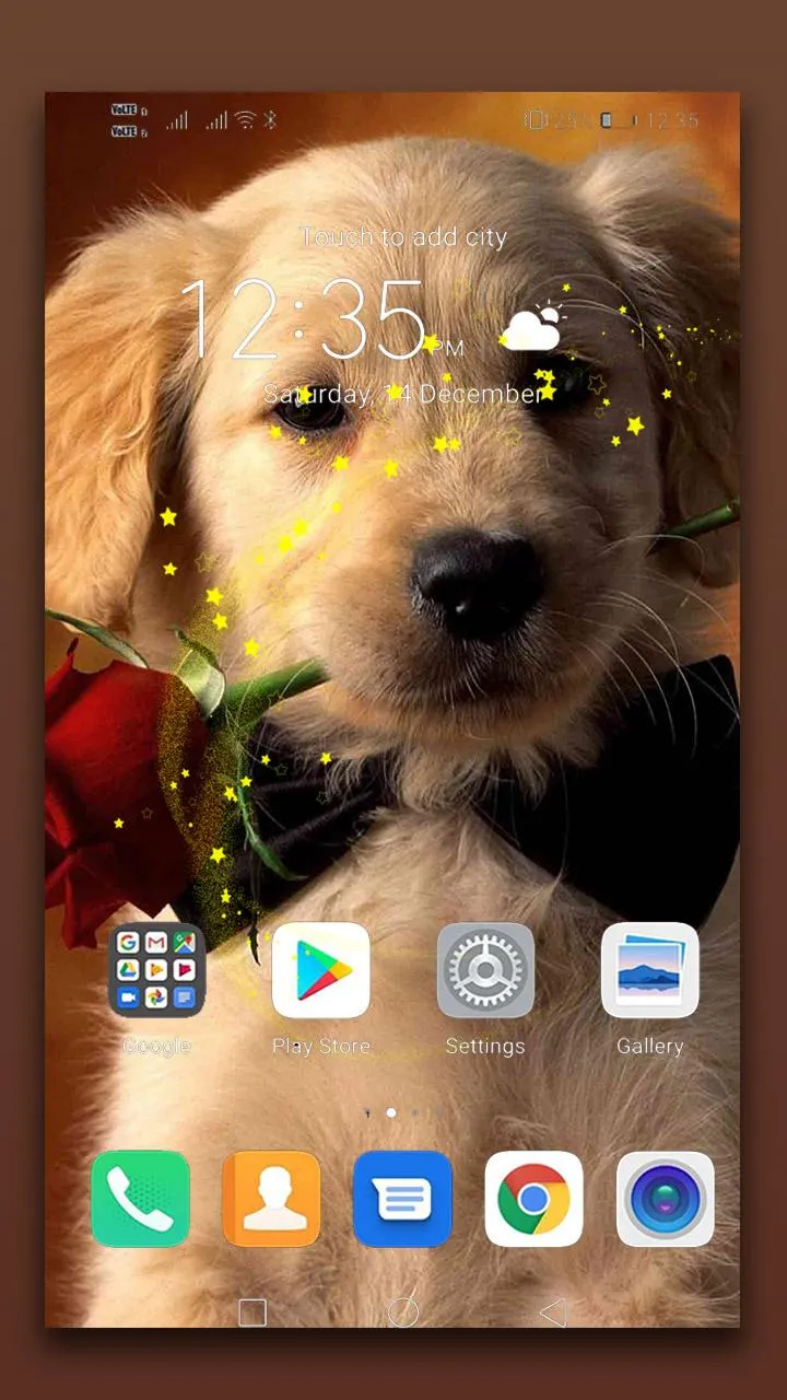 Puppy Live Wallpaper | Indus Appstore | Screenshot