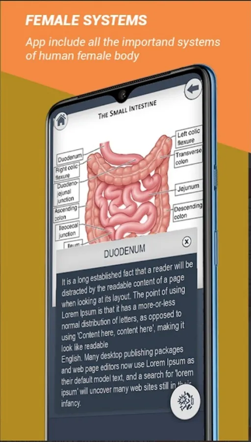 Female Anatomy 3D Anatomy App | Indus Appstore | Screenshot