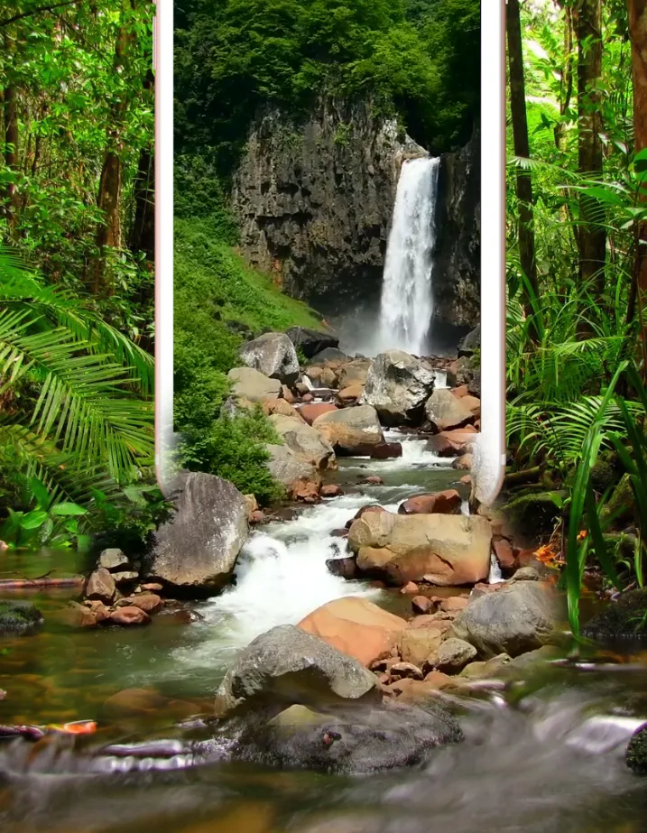 Forest Waterfall Live Wallpape | Indus Appstore | Screenshot