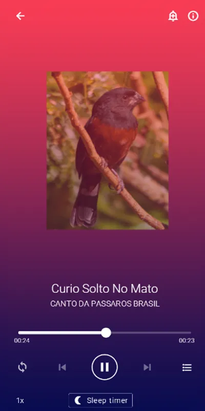 Cantos de Curio Praia | Indus Appstore | Screenshot