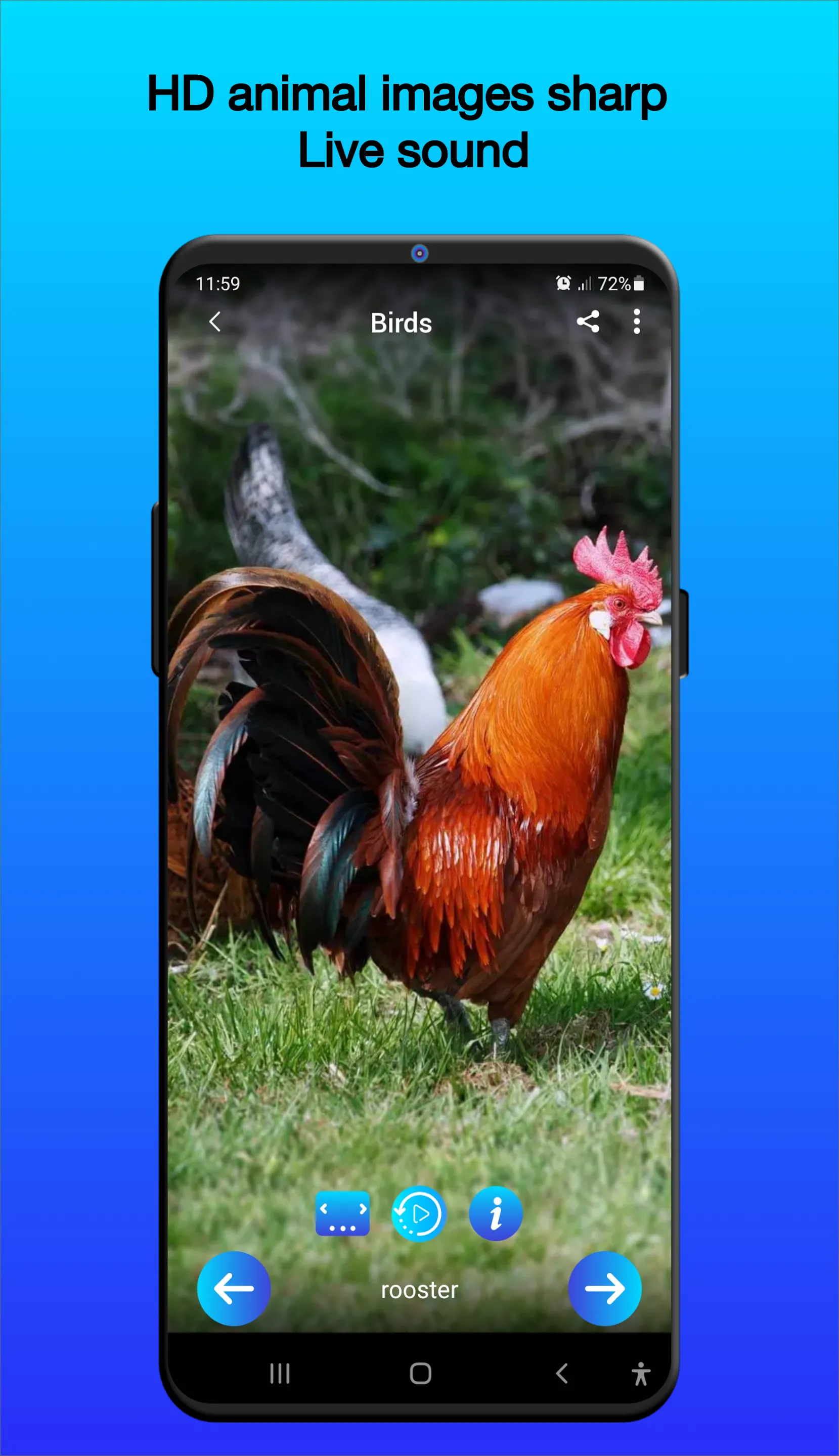 Animal Sounds | Indus Appstore | Screenshot