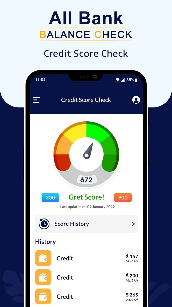 Bank Balance & Credit score | Indus Appstore | Screenshot