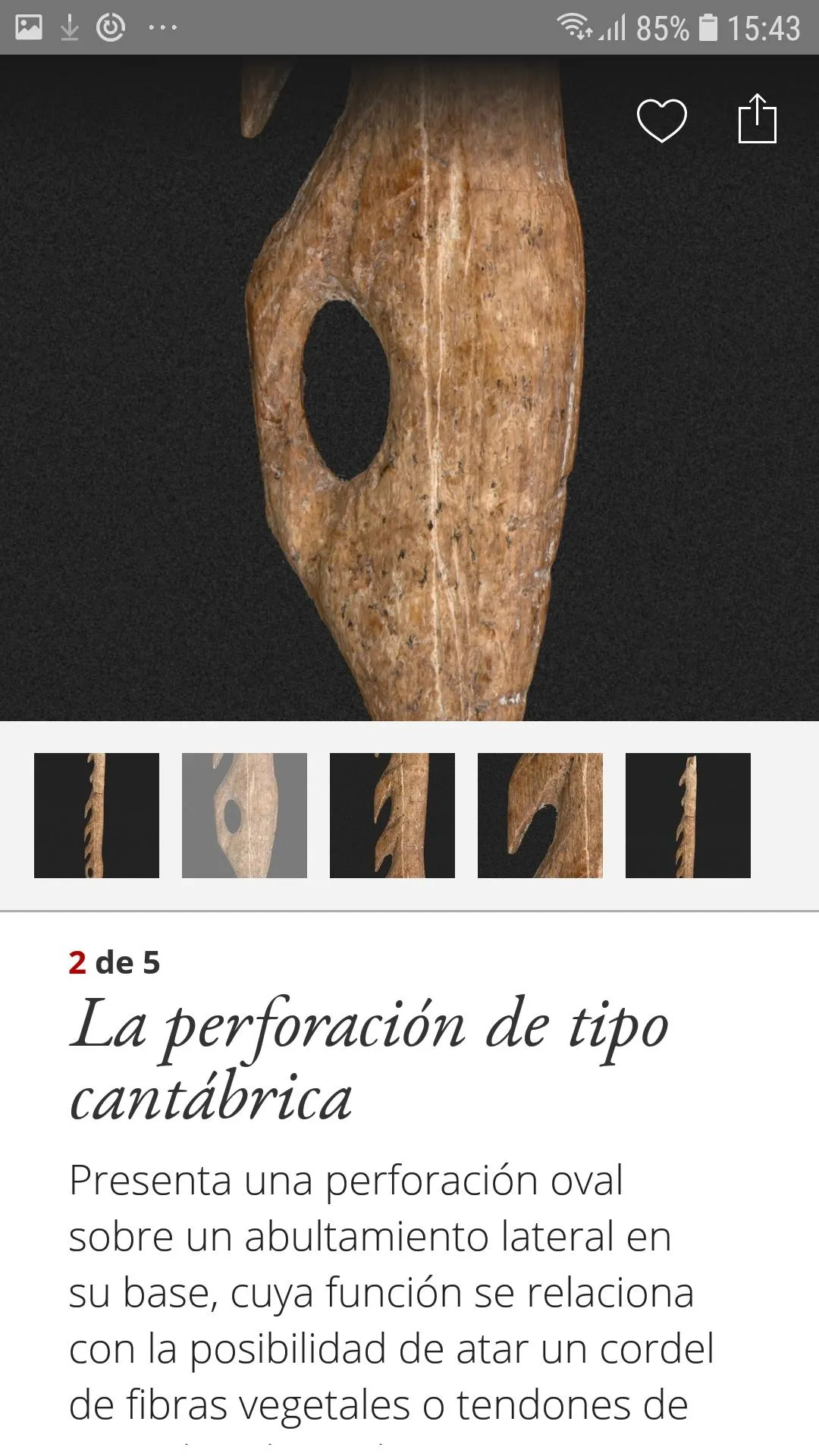 SC Museo de Altamira | Indus Appstore | Screenshot