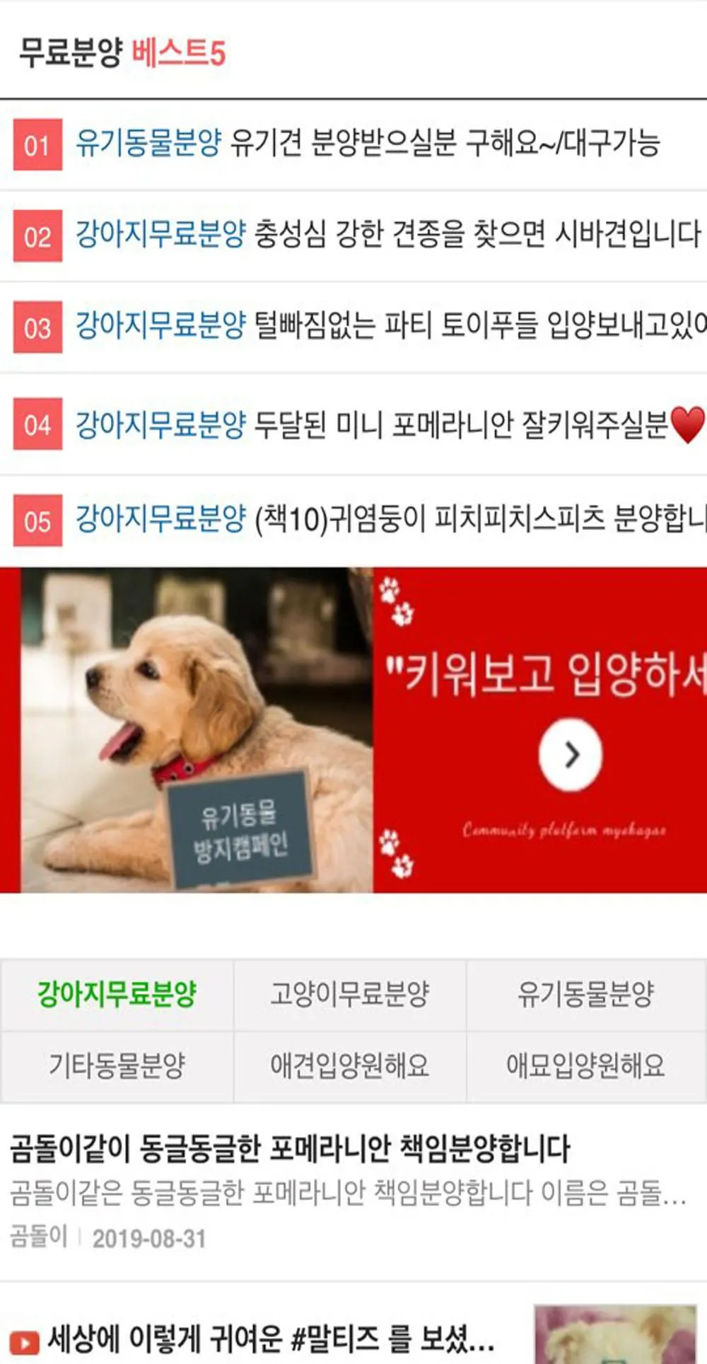 묘하개 - 강아지 고양이무료분양 파양, 가정견묘 , 유 | Indus Appstore | Screenshot