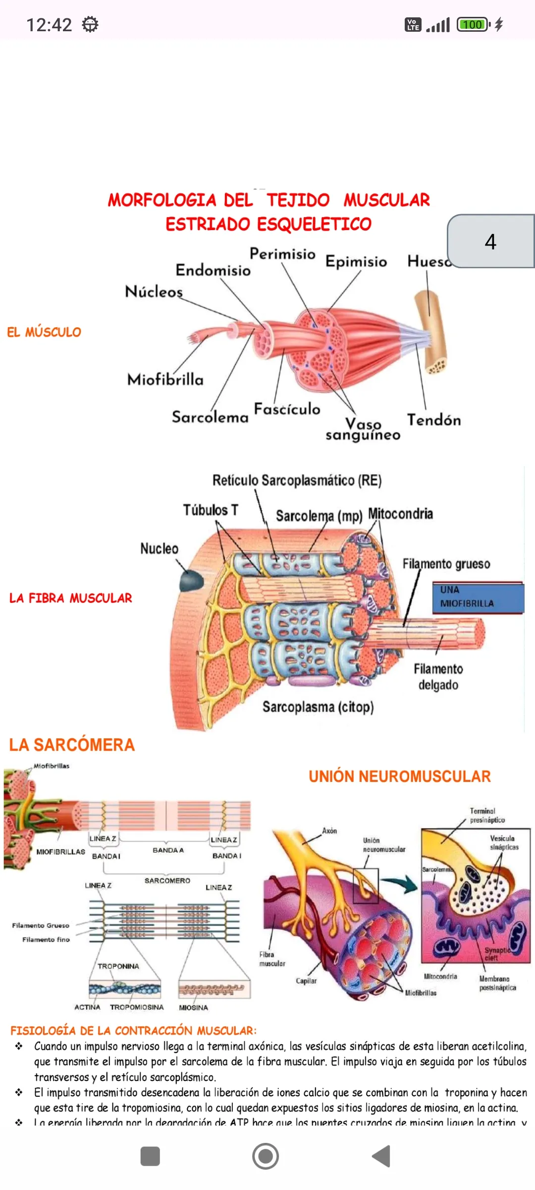 Anatomía | Indus Appstore | Screenshot