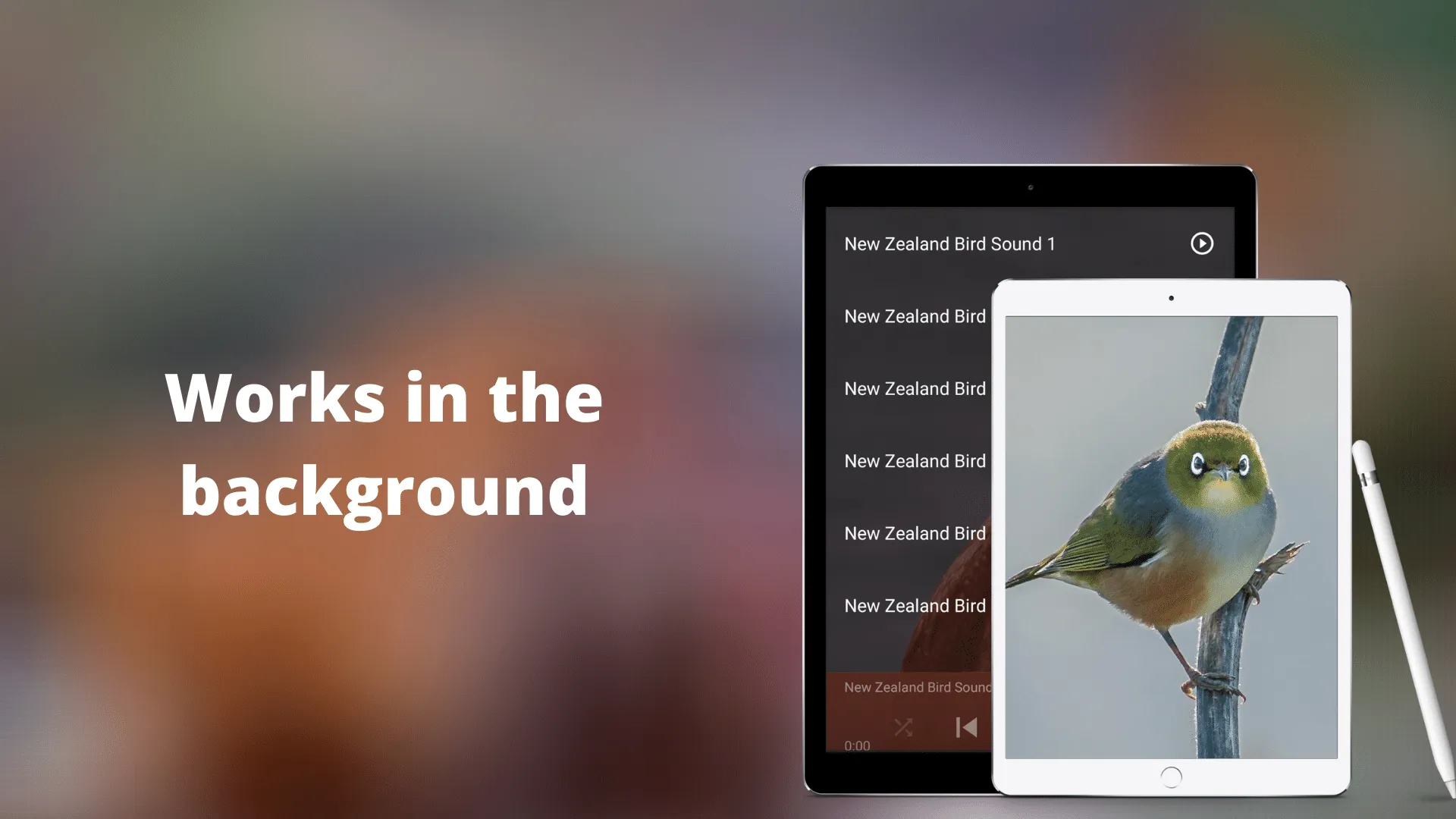 NewZealand Bird Sounds | Indus Appstore | Screenshot