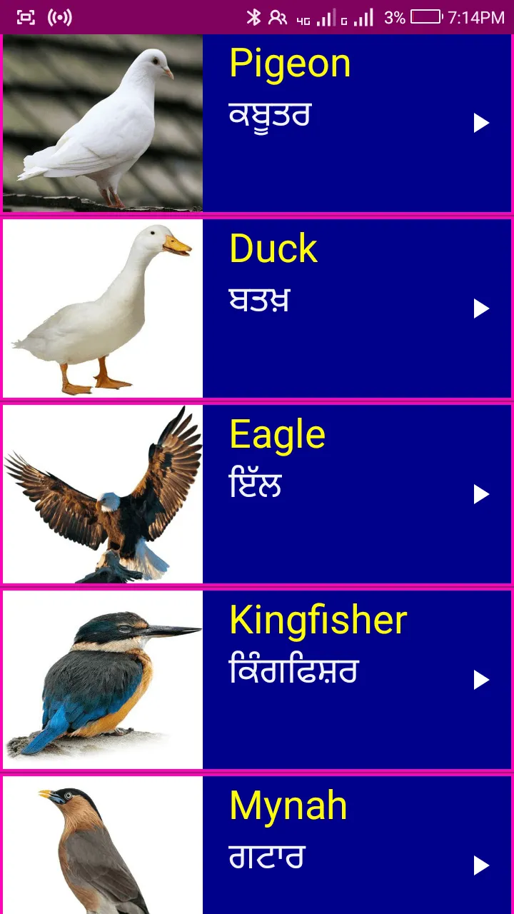 Learn English From Punjabi | Indus Appstore | Screenshot