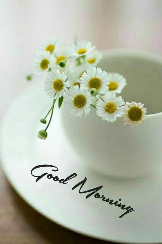 Good Morning & Flowers - Image | Indus Appstore | Screenshot