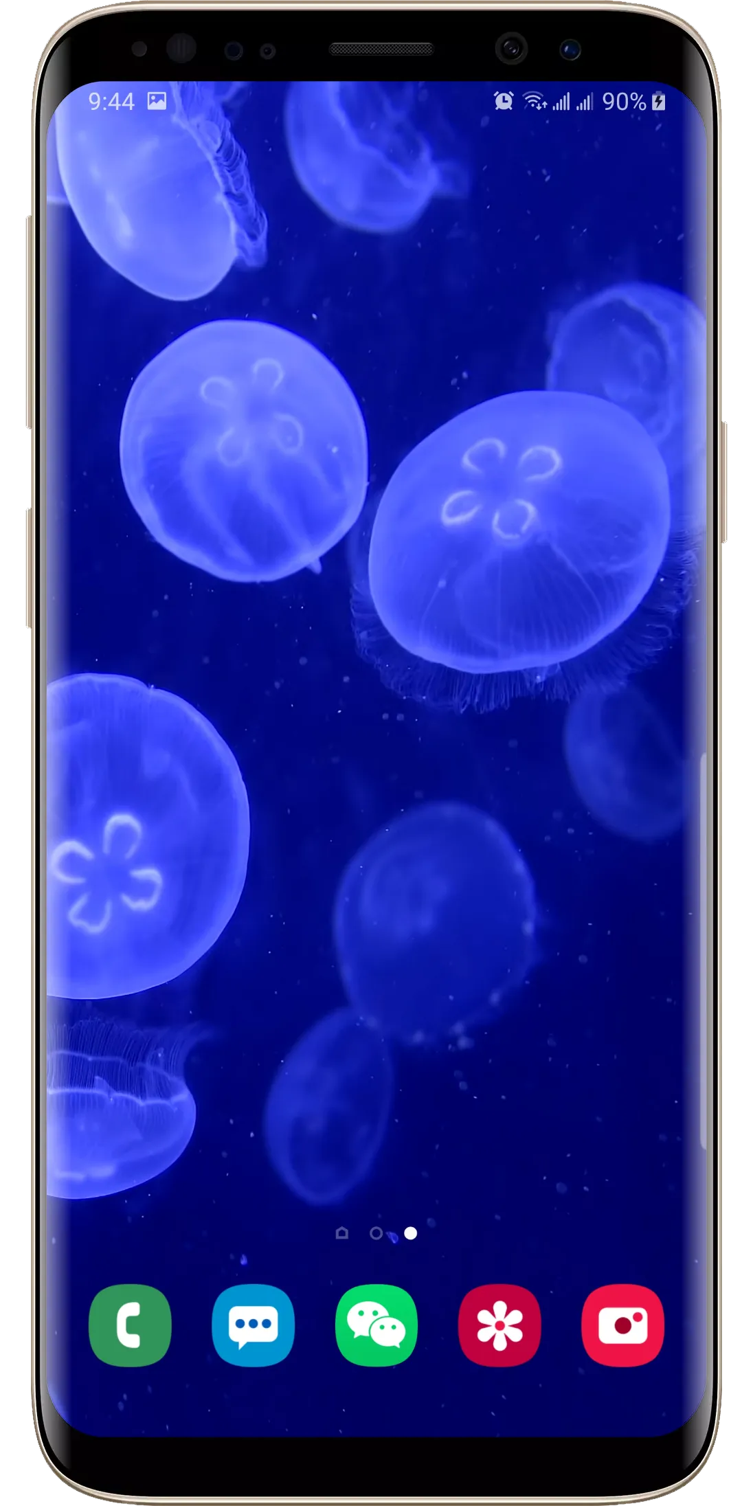 Real Aquarium Live Wallpaper | Indus Appstore | Screenshot