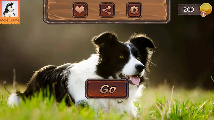 Border Collie Simulator | Indus Appstore | Screenshot