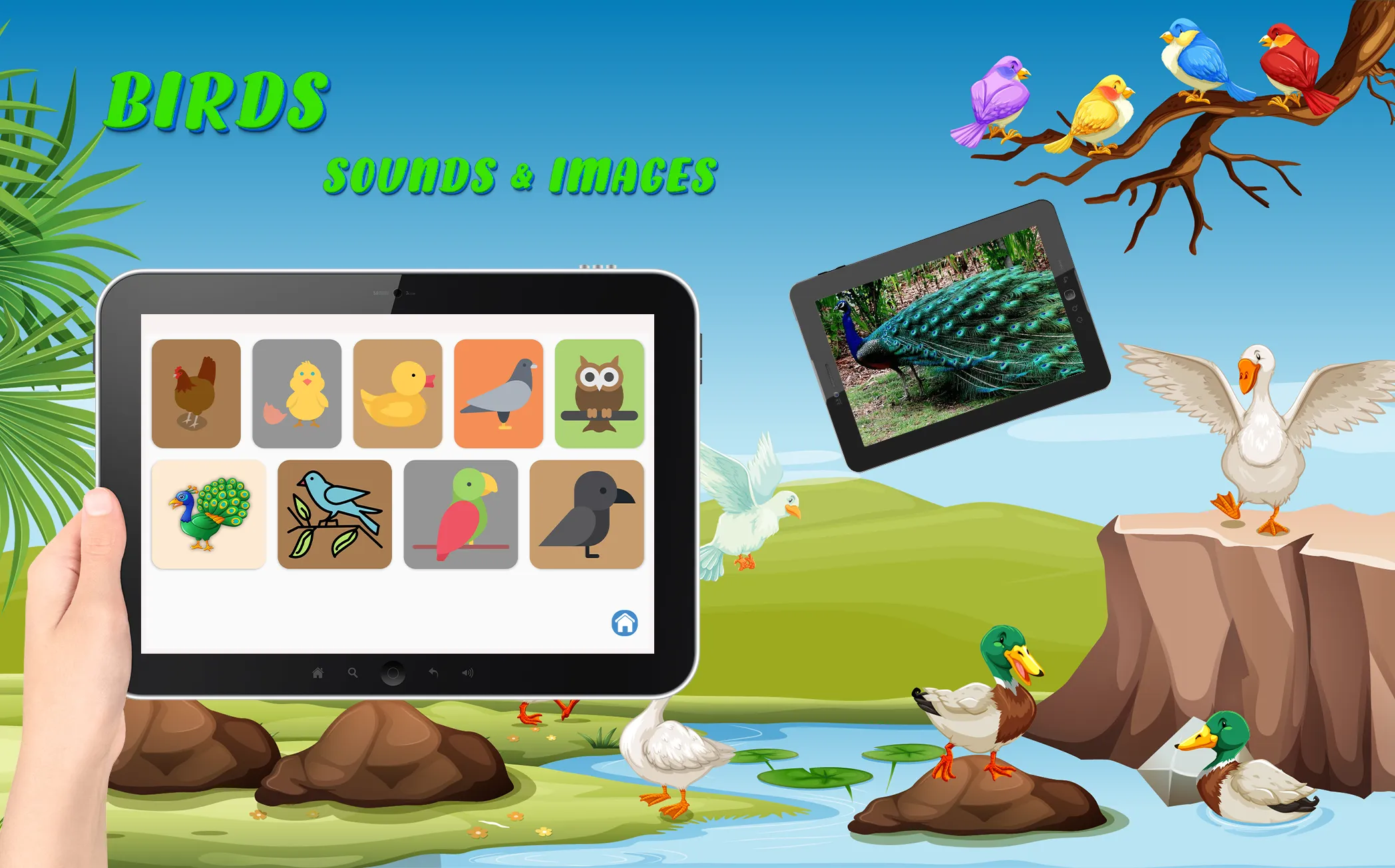 Animal Sounds : Learn and Play | Indus Appstore | Screenshot