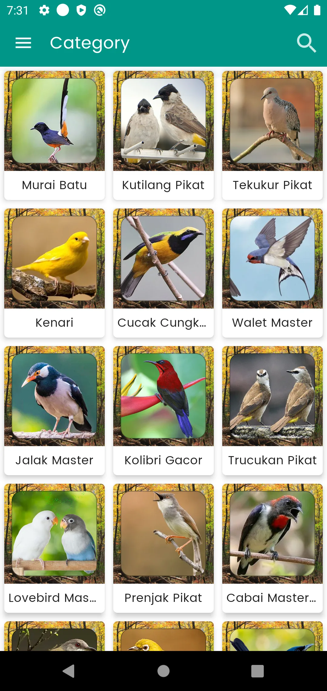 Suara Burung Kolibri Pikat | Indus Appstore | Screenshot