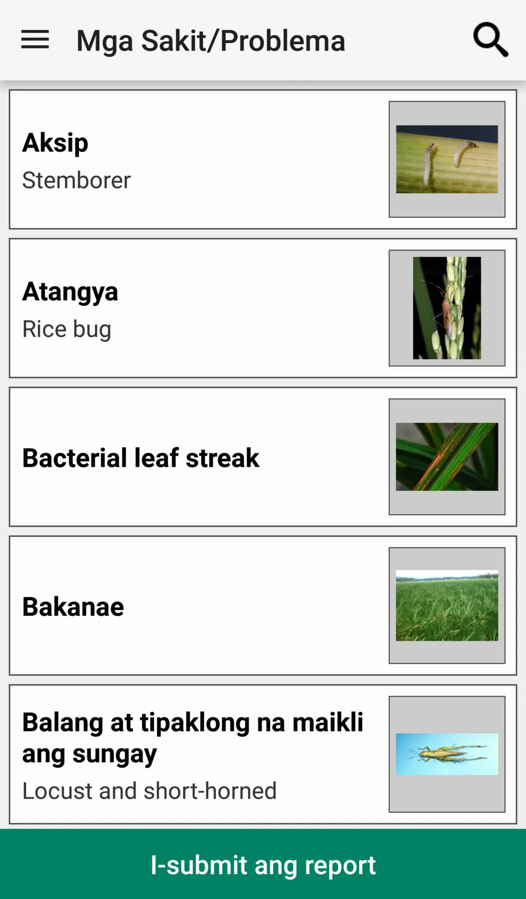 Rice Doctor Tagalog | Indus Appstore | Screenshot