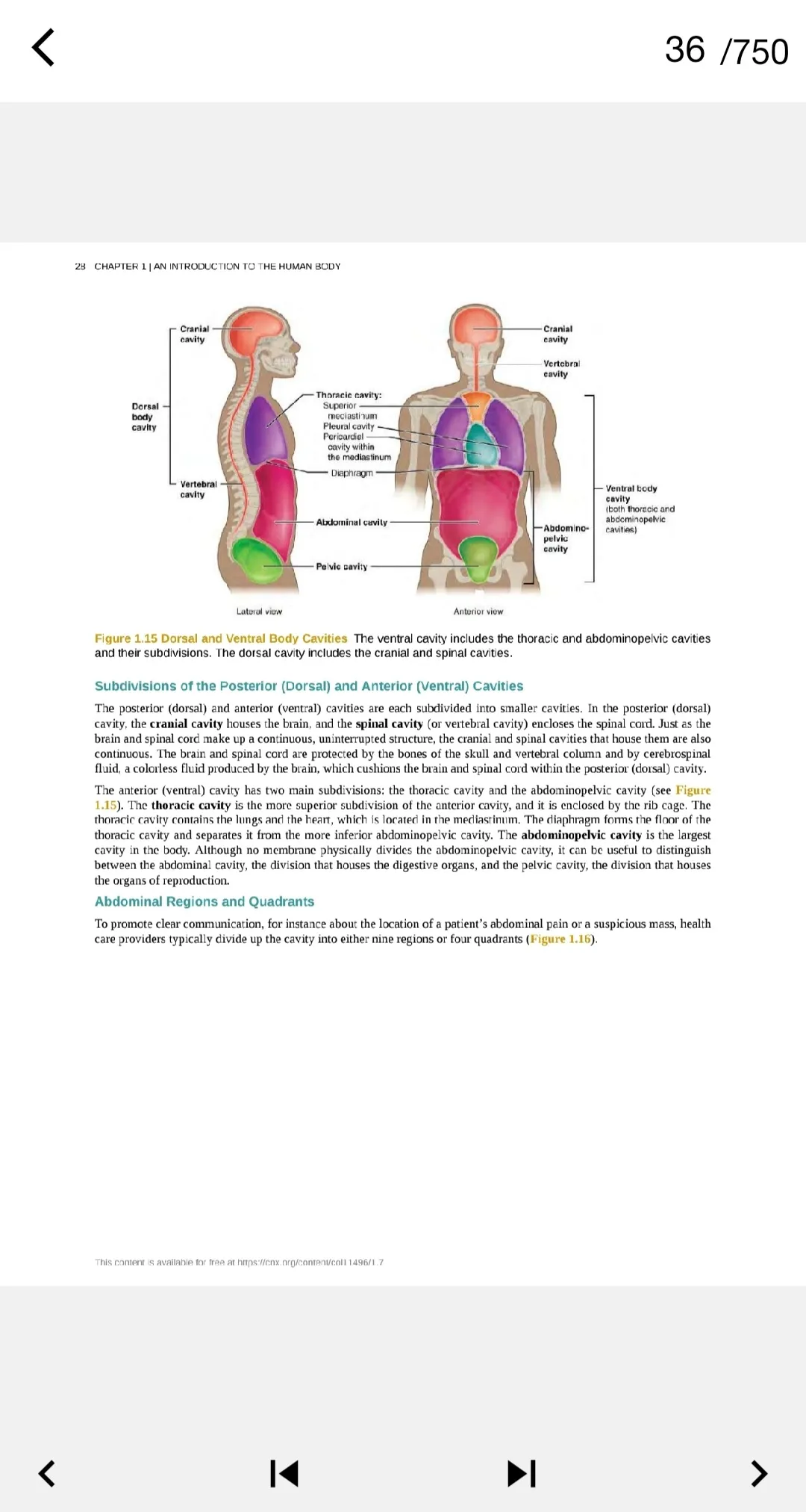 Book Anatomy and physiology | Indus Appstore | Screenshot