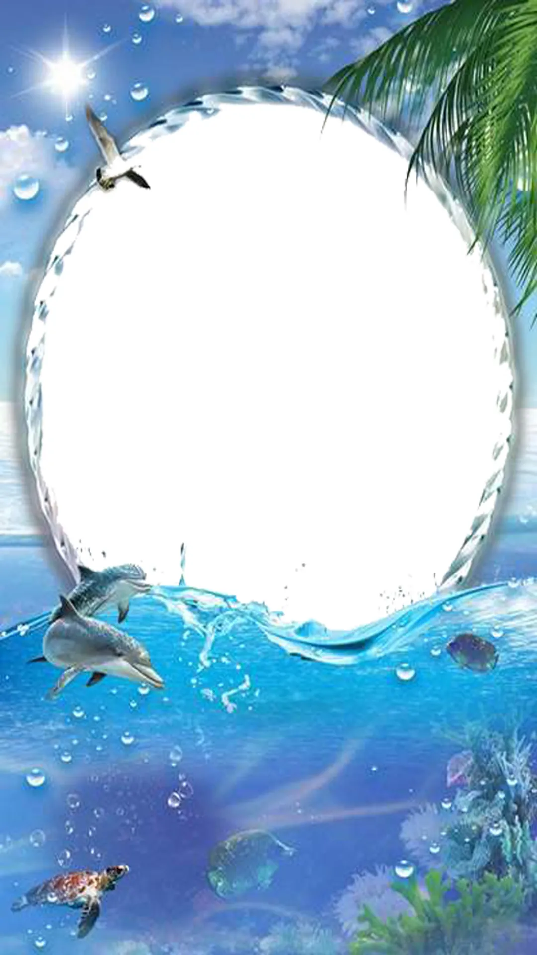 Dolphin photos Frames | Indus Appstore | Screenshot