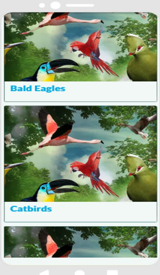 Birds Encyclopedia | Indus Appstore | Screenshot