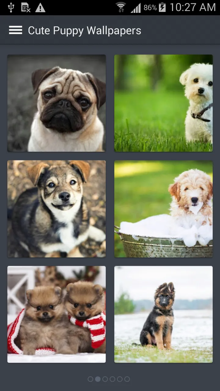 Cute Puppy Wallpapers | Indus Appstore | Screenshot