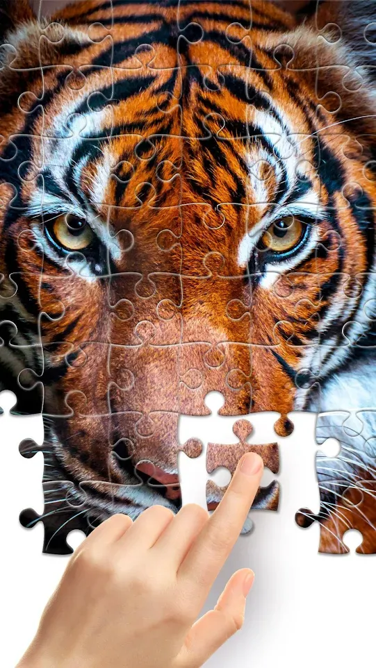 Jigsaw1000: Jigsaw puzzles | Indus Appstore | Screenshot