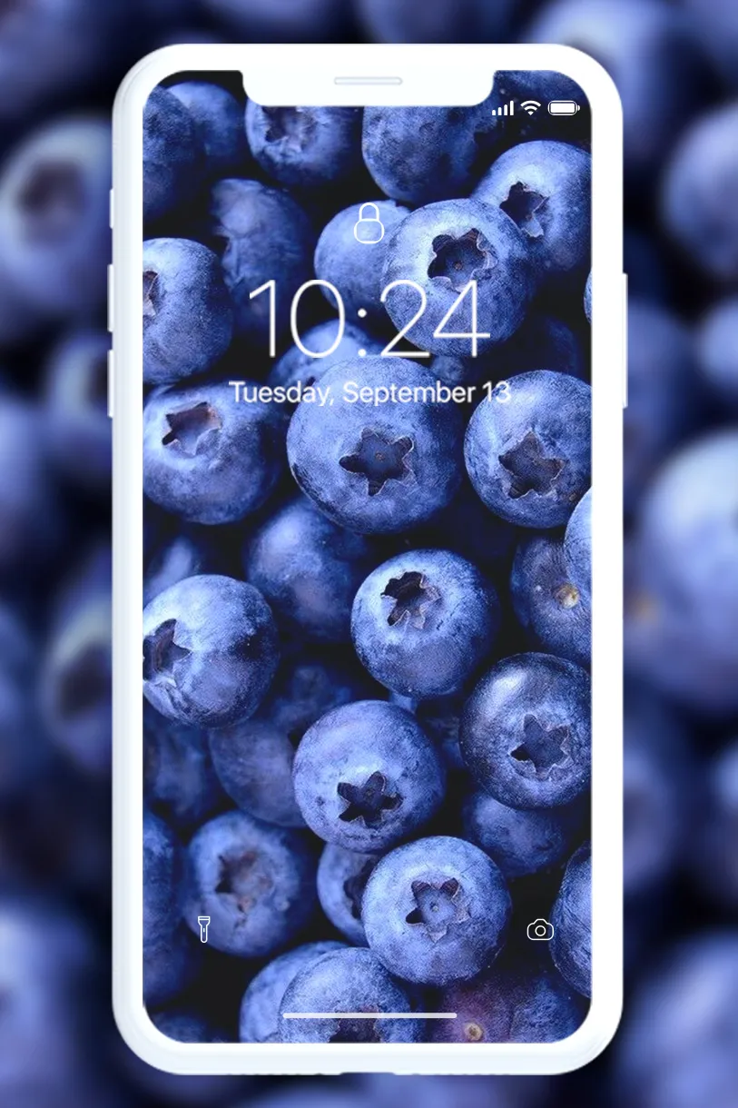 Fruit Wallpaper | Indus Appstore | Screenshot