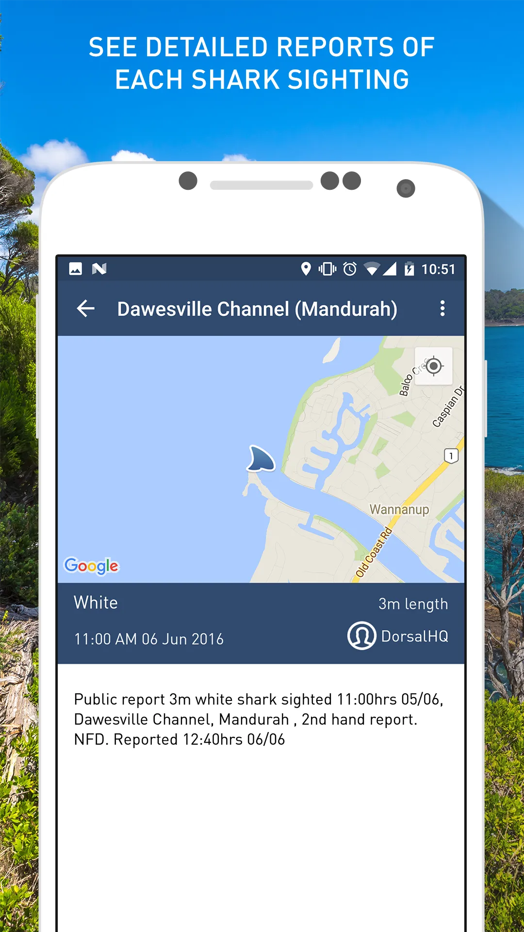 Dorsal Shark Reports | Indus Appstore | Screenshot