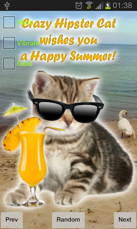 Crazy Hipster Cat | Indus Appstore | Screenshot